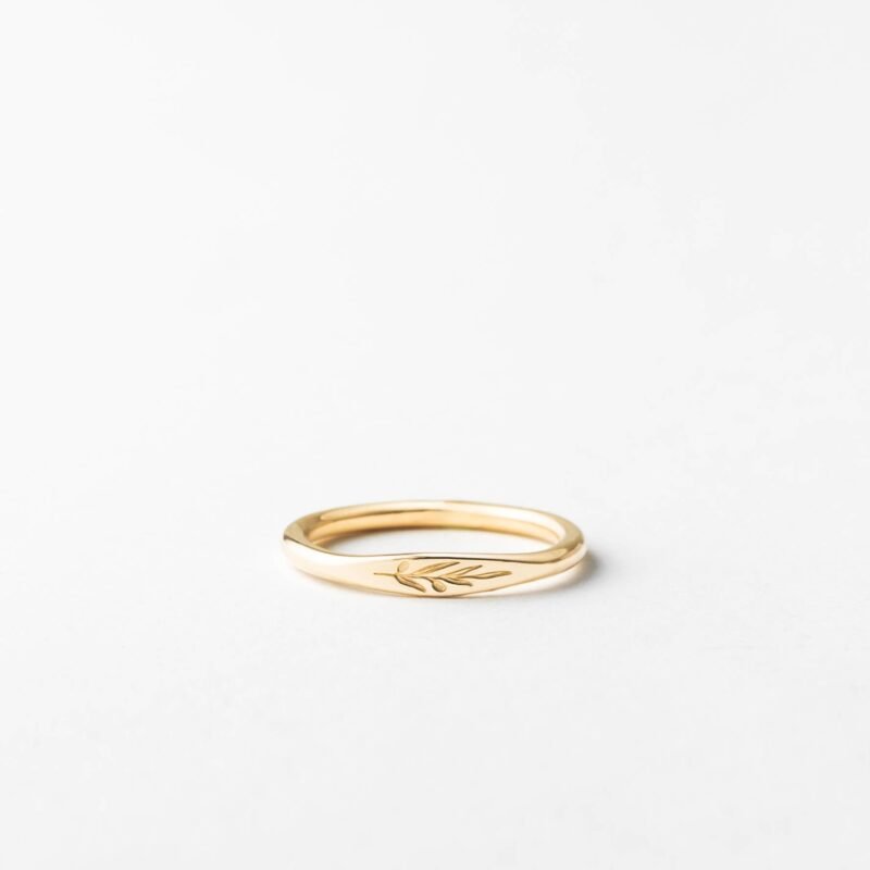 import placeholder for 14681306