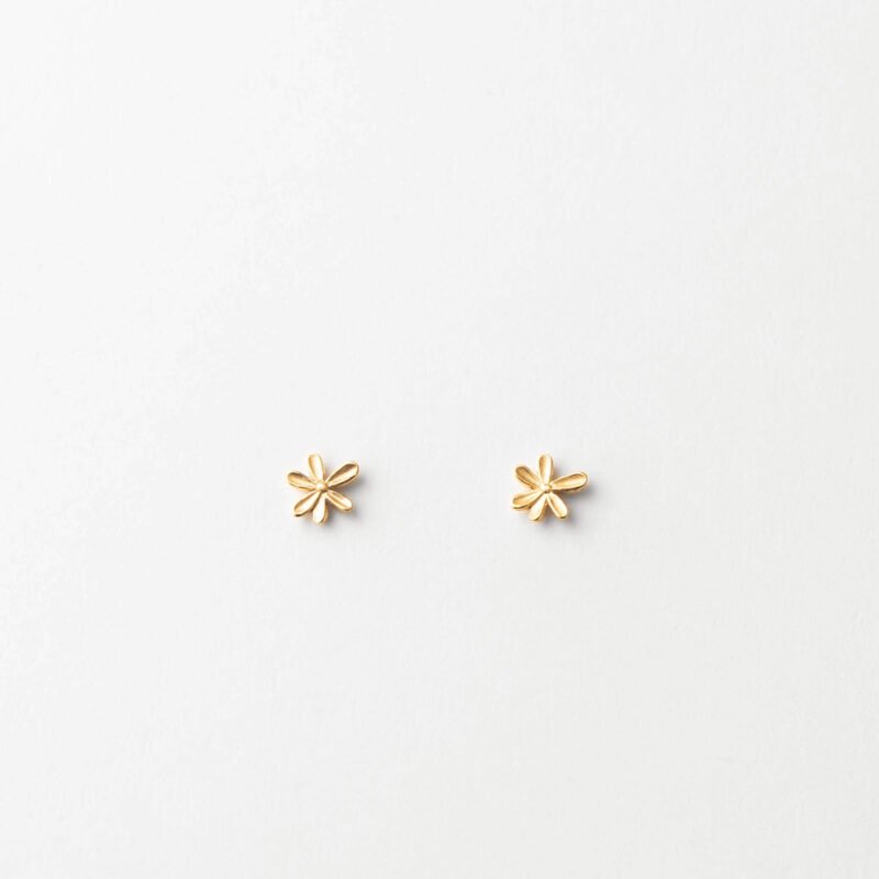 import placeholder for 14681517